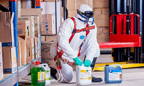 pest control pengendalian hama