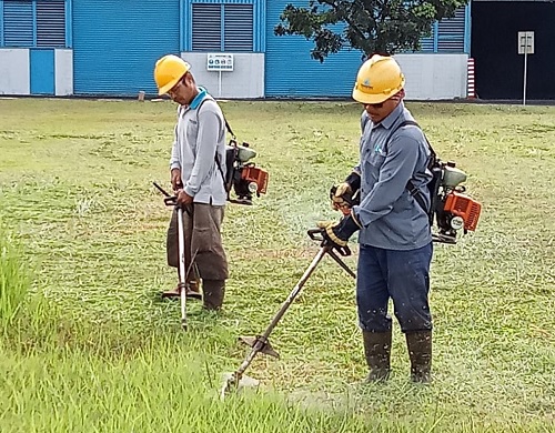 pembabatan-rumput
