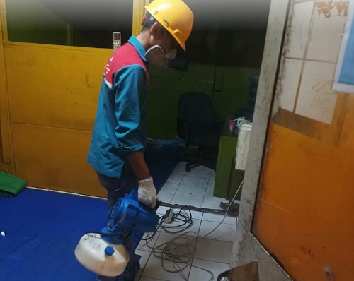 pest control