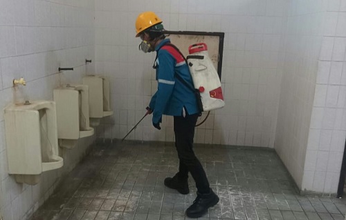 pest control toilet