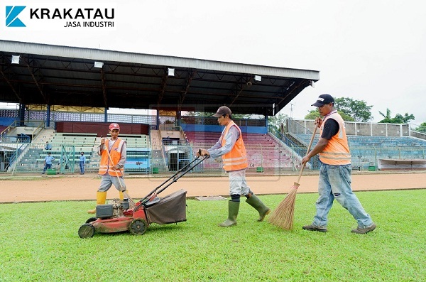 cut-grass-stadion-ks